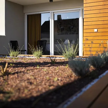 빌라 Mary Lou With Heated Pool 자다르