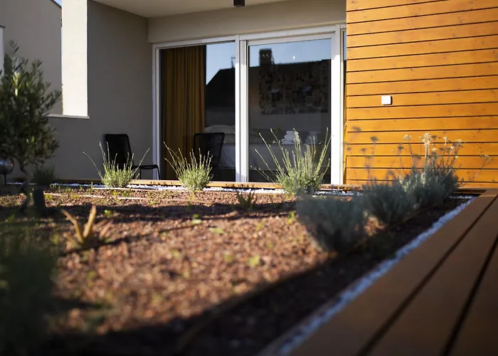 빌라 Mary Lou With Heated Pool 자다르